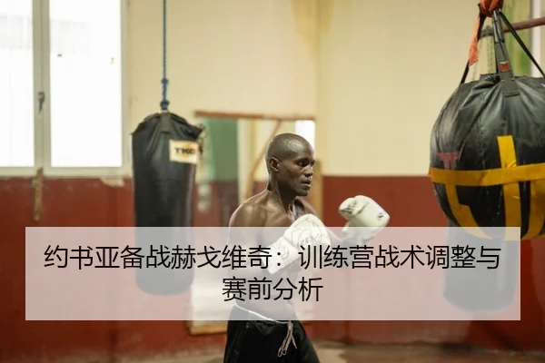 约书亚备战赫戈维奇：训练营战术调整与赛前分析
